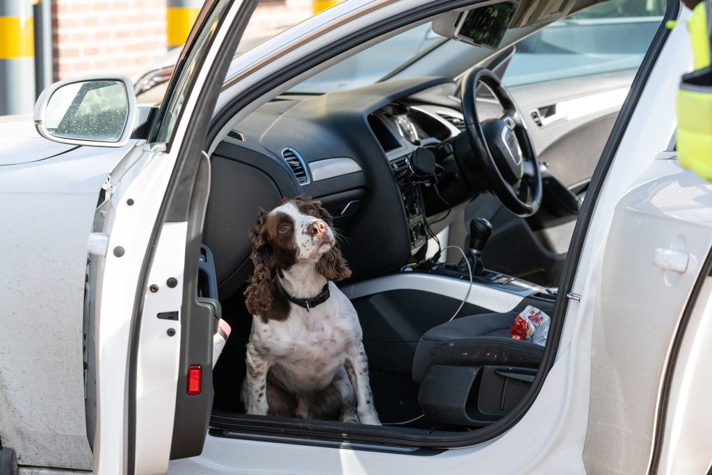 RS257460_251029-MDP Project Servator-109.jpg